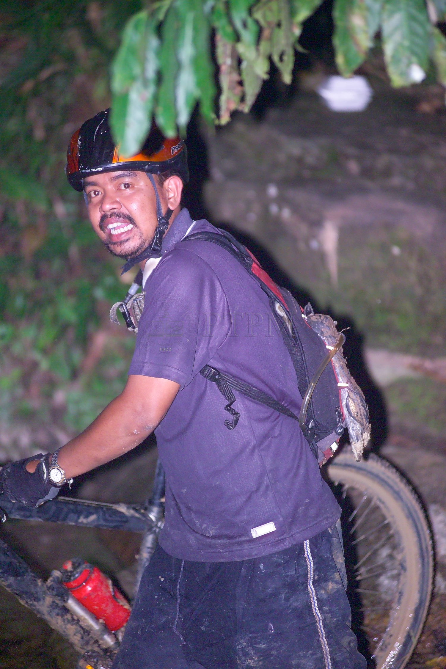 PTPM 06 31 kilau D9X44275